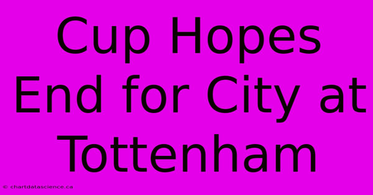 Cup Hopes End For City At Tottenham