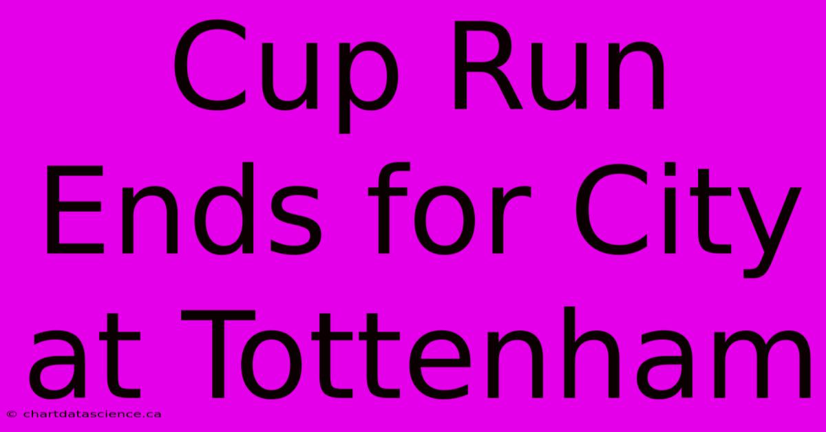 Cup Run Ends For City At Tottenham