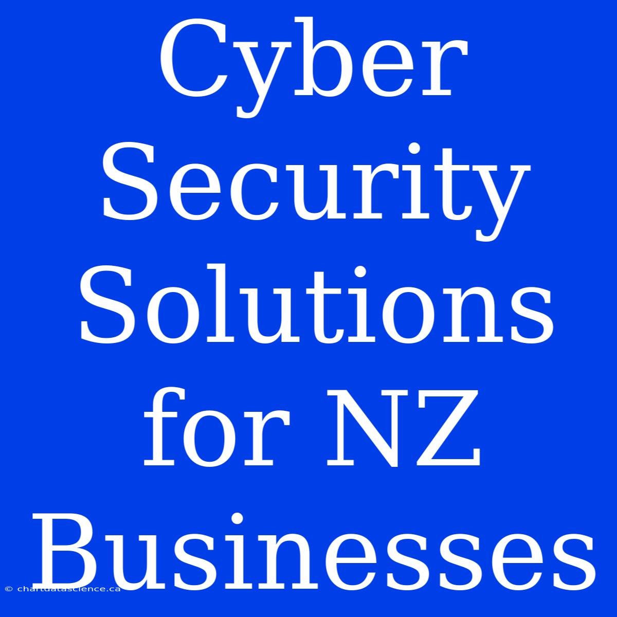 Cyber Security Solutions For NZ Businesses