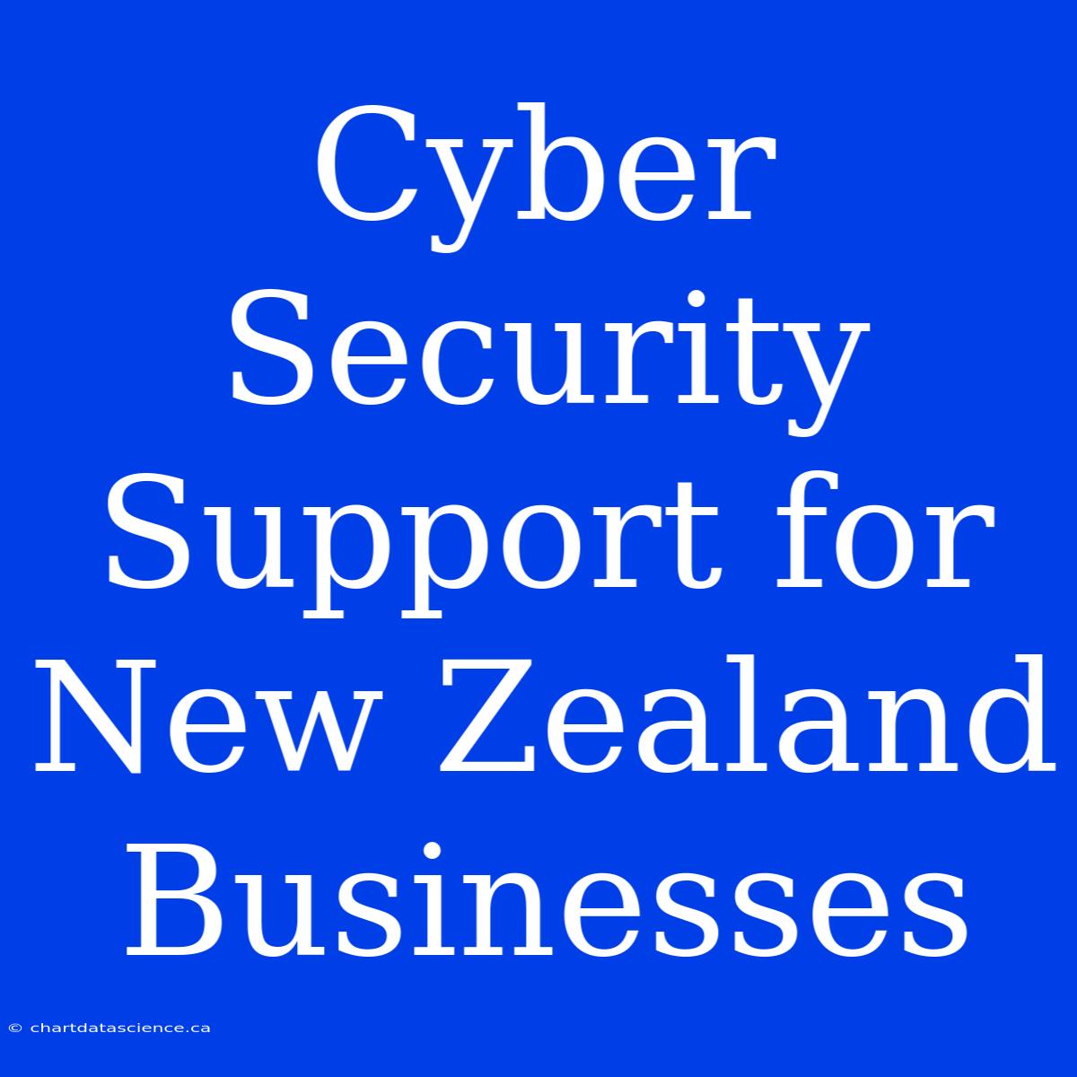 Cyber Security Support For New Zealand Businesses