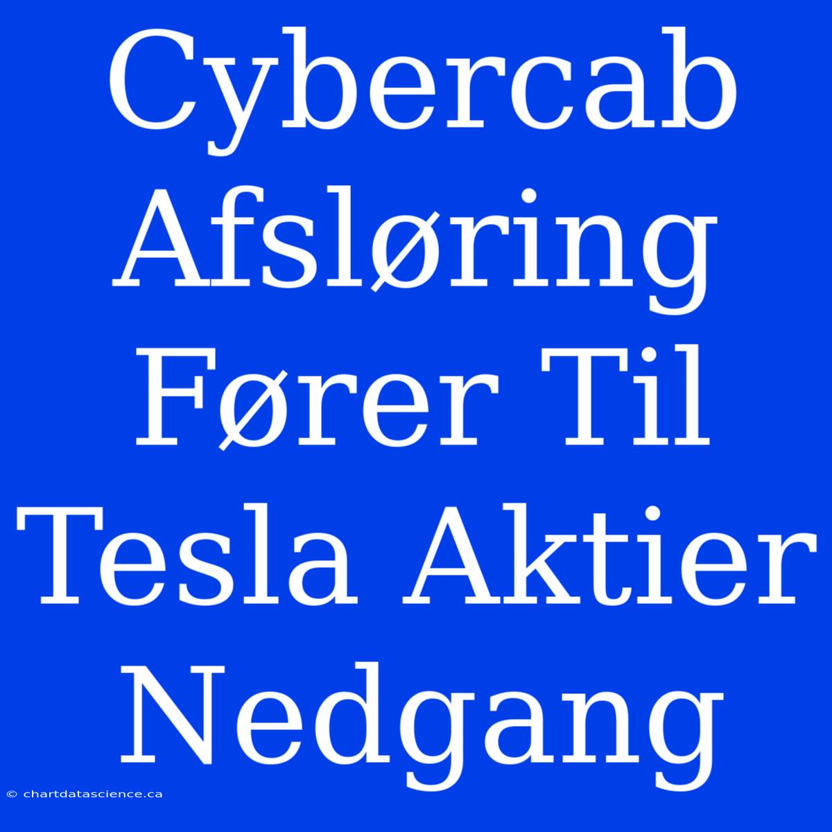 Cybercab Afsløring Fører Til Tesla Aktier Nedgang