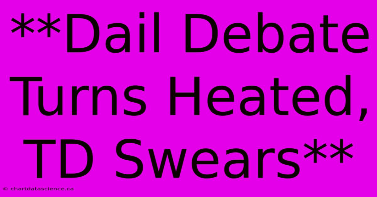 **Dail Debate Turns Heated, TD Swears** 