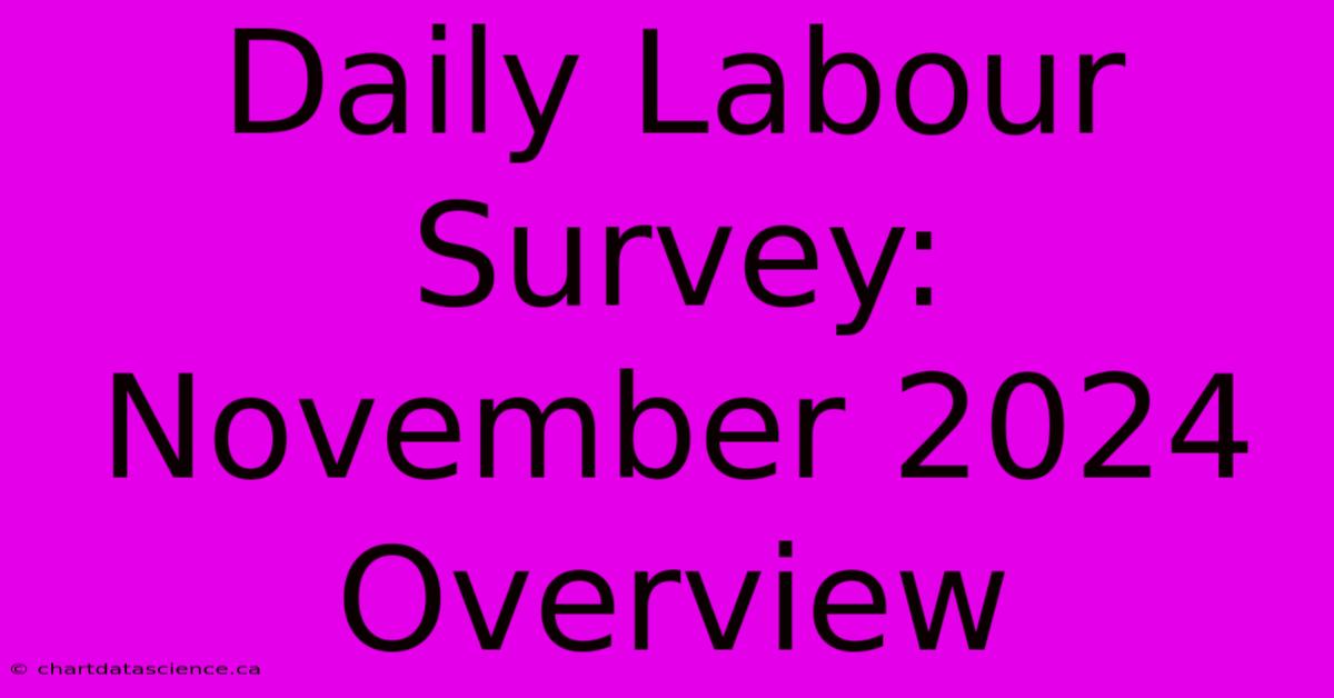 Daily Labour Survey: November 2024 Overview