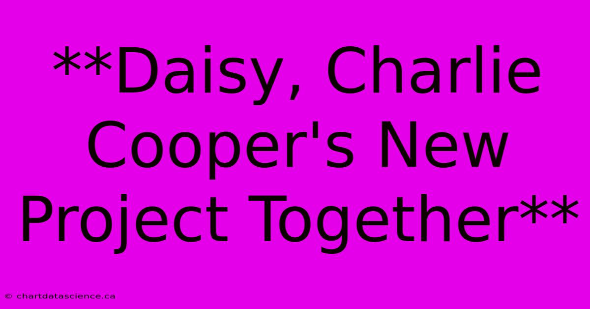 **Daisy, Charlie Cooper's New Project Together**