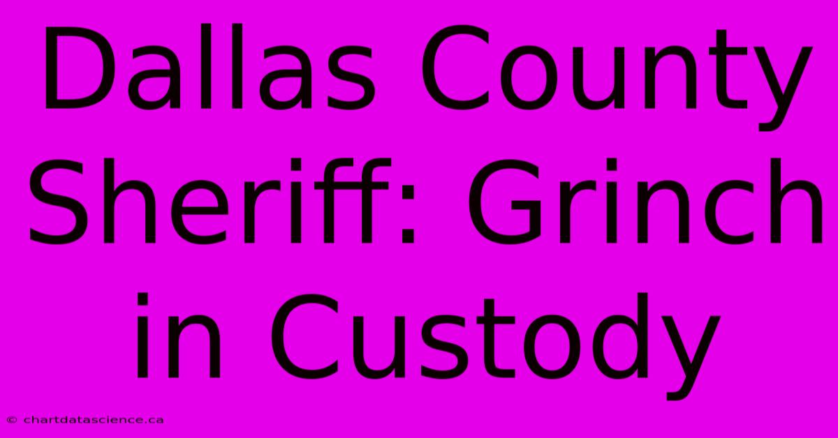 Dallas County Sheriff: Grinch In Custody