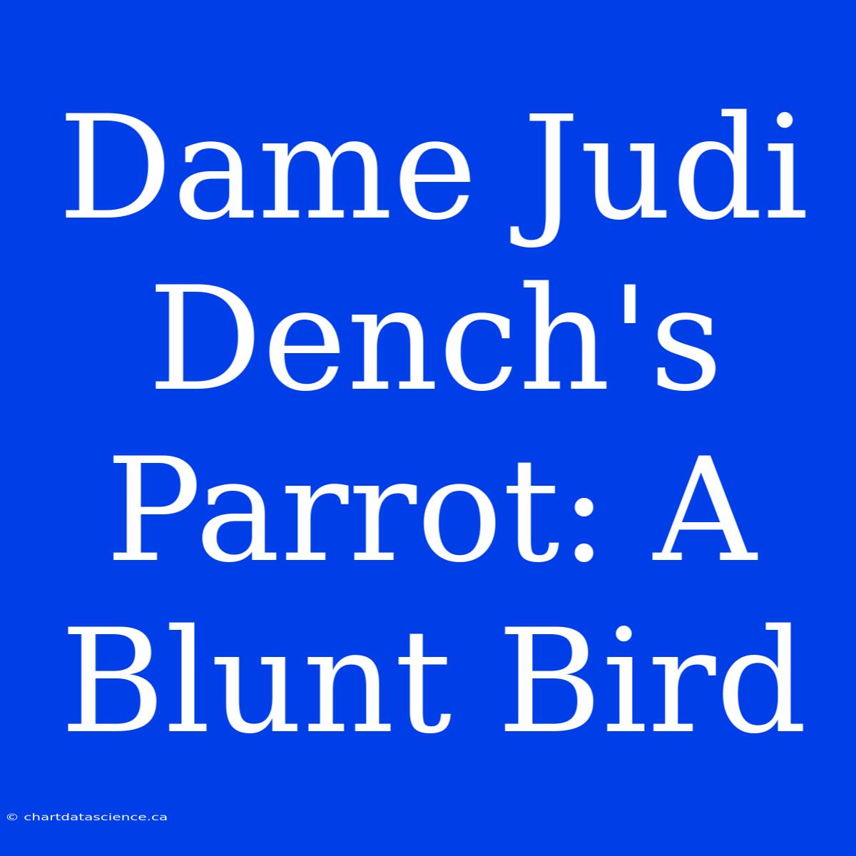 Dame Judi Dench's Parrot: A  Blunt Bird