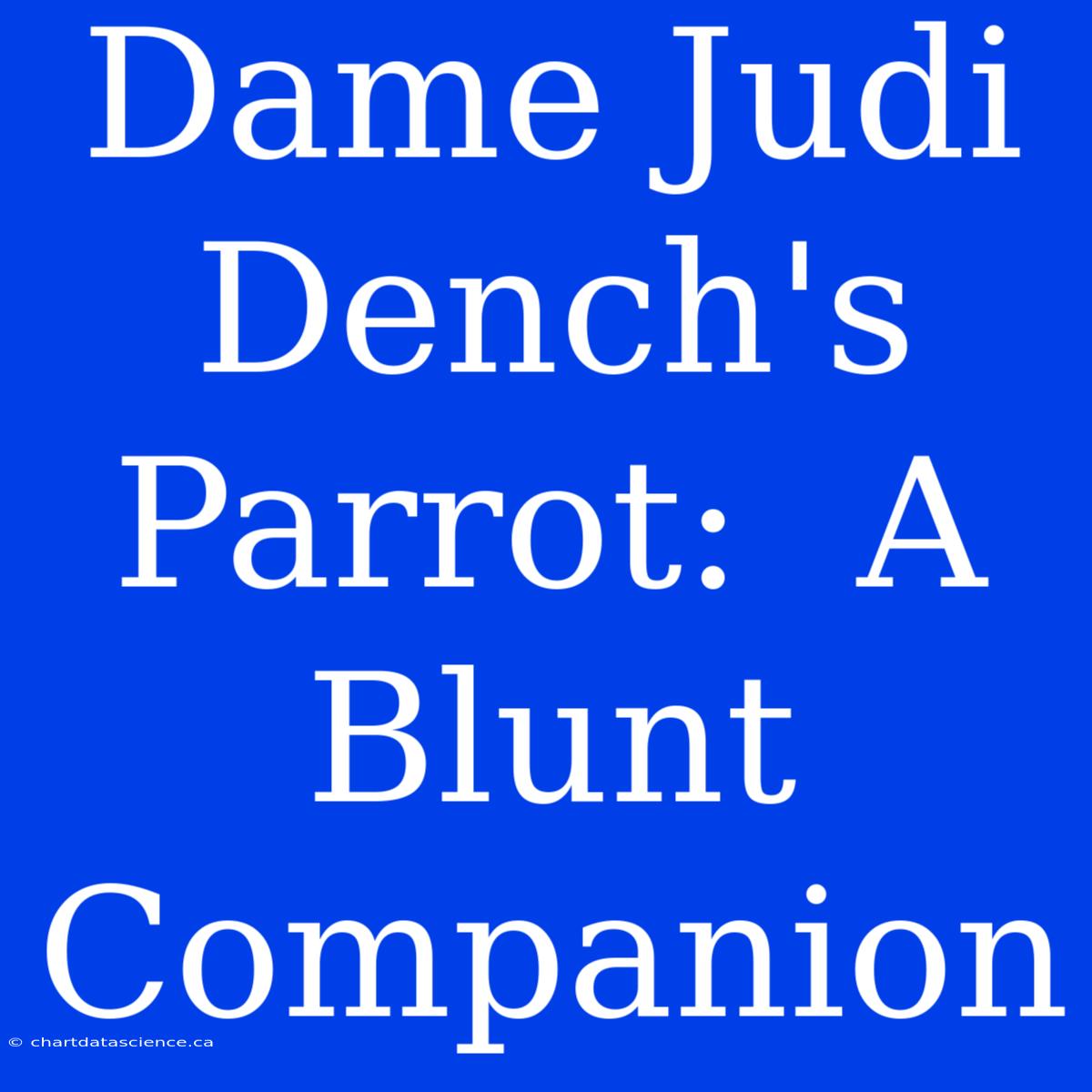 Dame Judi Dench's Parrot:  A  Blunt Companion