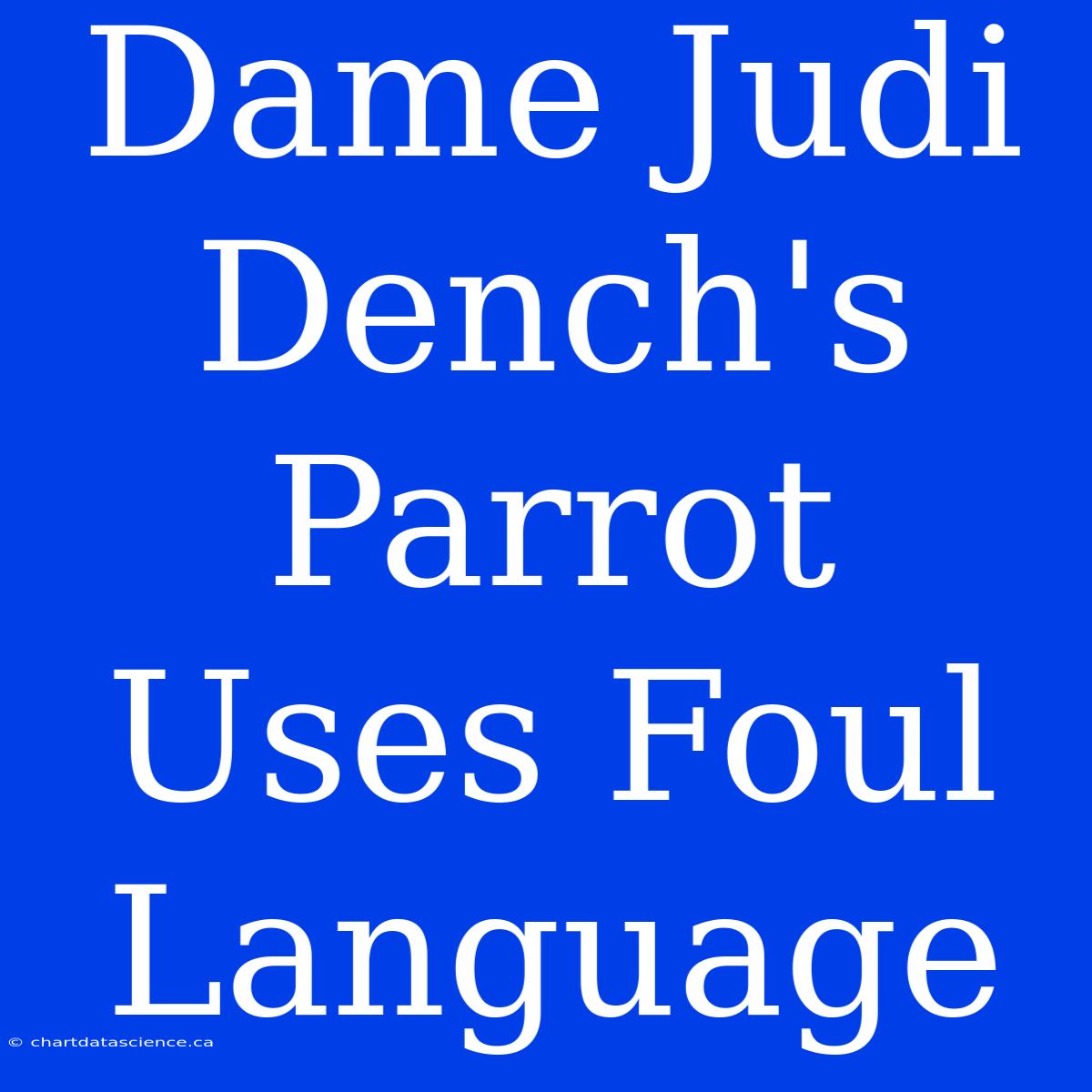 Dame Judi Dench's Parrot Uses Foul Language