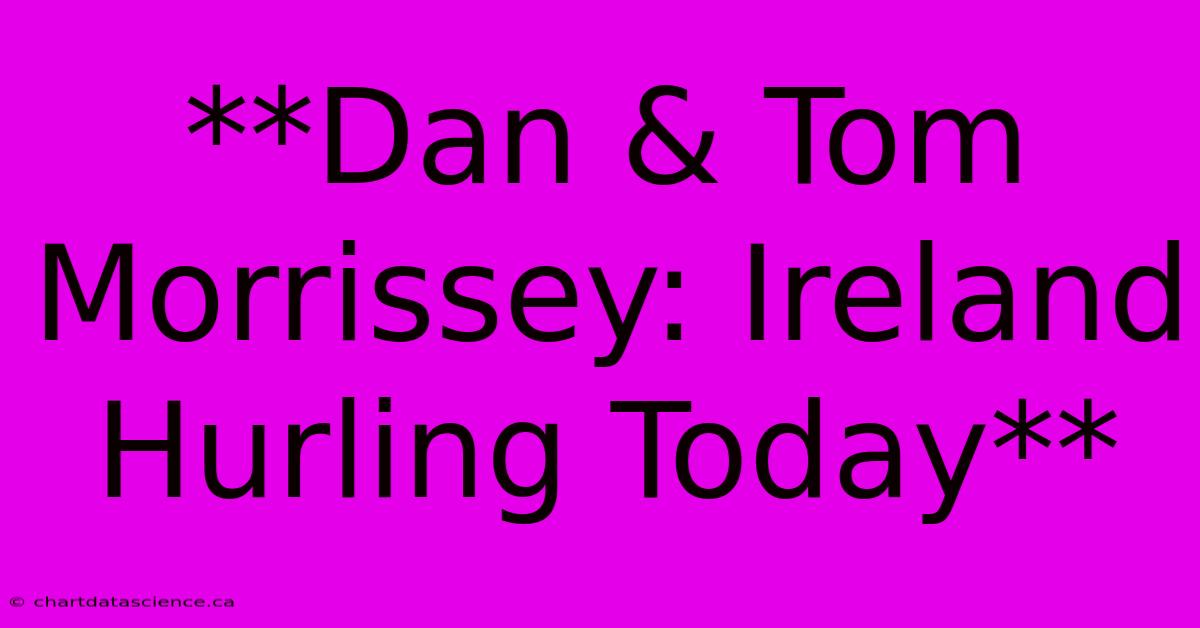 **Dan & Tom Morrissey: Ireland Hurling Today**