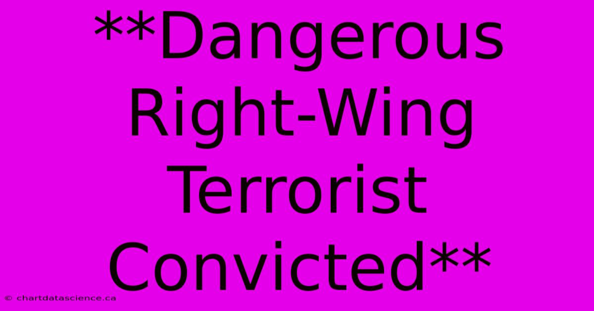 **Dangerous Right-Wing Terrorist Convicted**