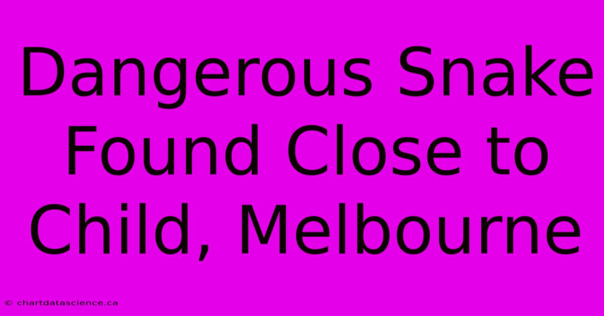 Dangerous Snake Found Close To Child, Melbourne