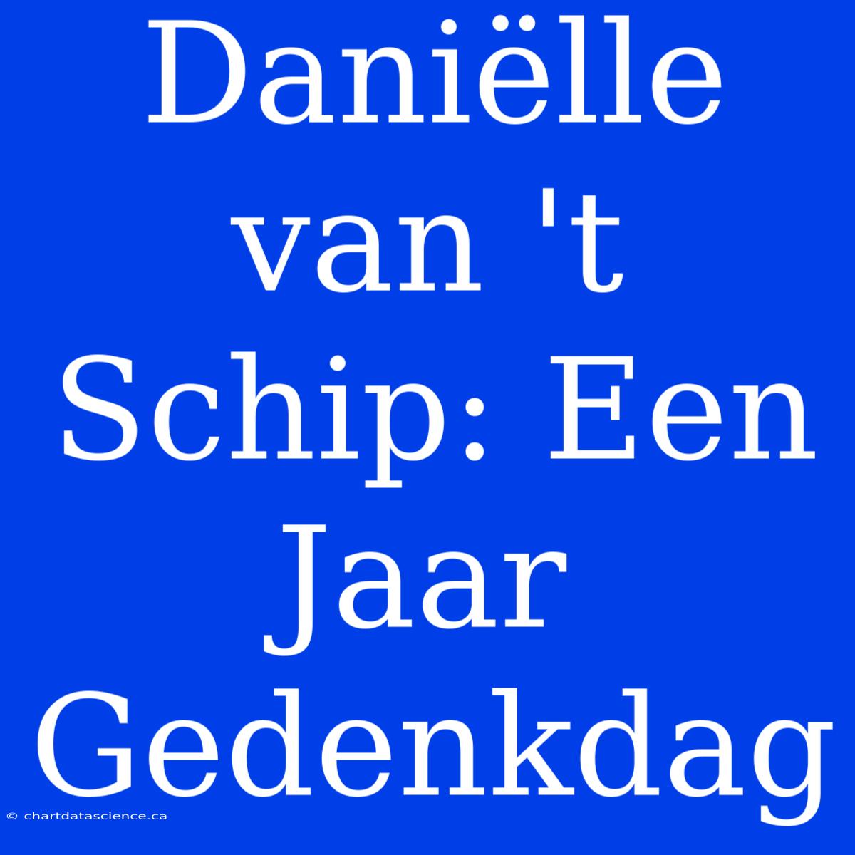 Daniëlle Van 't Schip: Een Jaar Gedenkdag