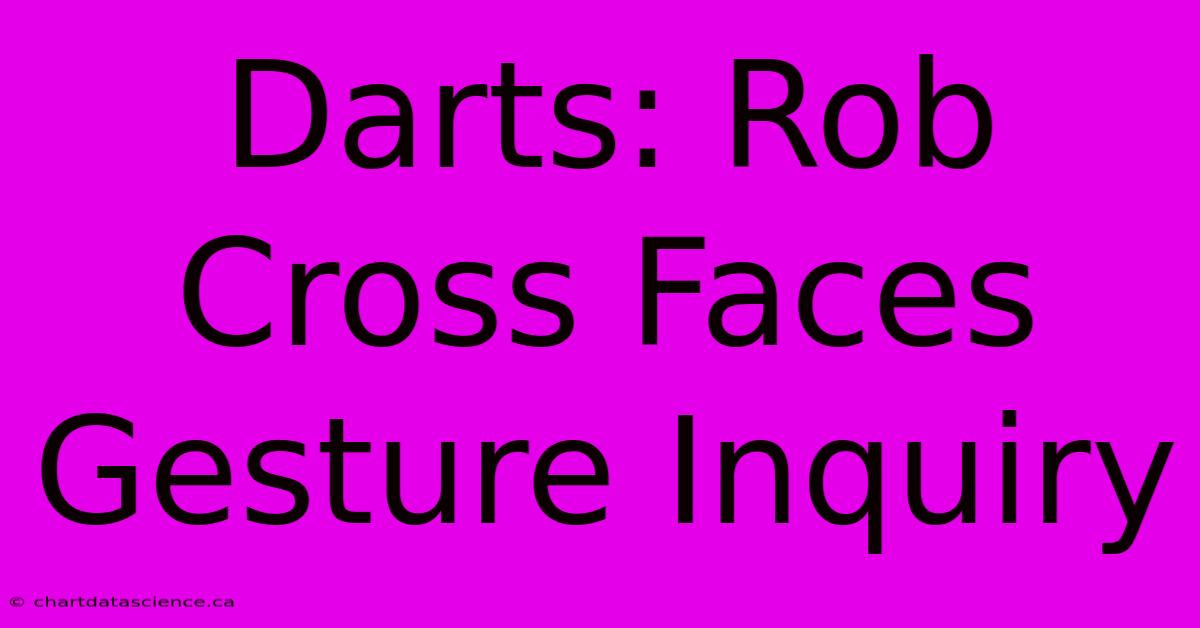 Darts: Rob Cross Faces Gesture Inquiry