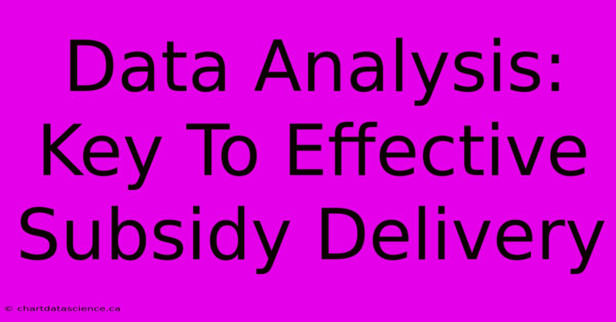 Data Analysis: Key To Effective Subsidy Delivery 