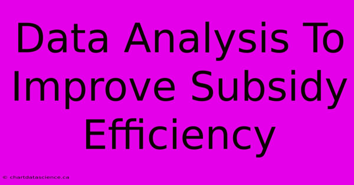 Data Analysis To Improve Subsidy Efficiency