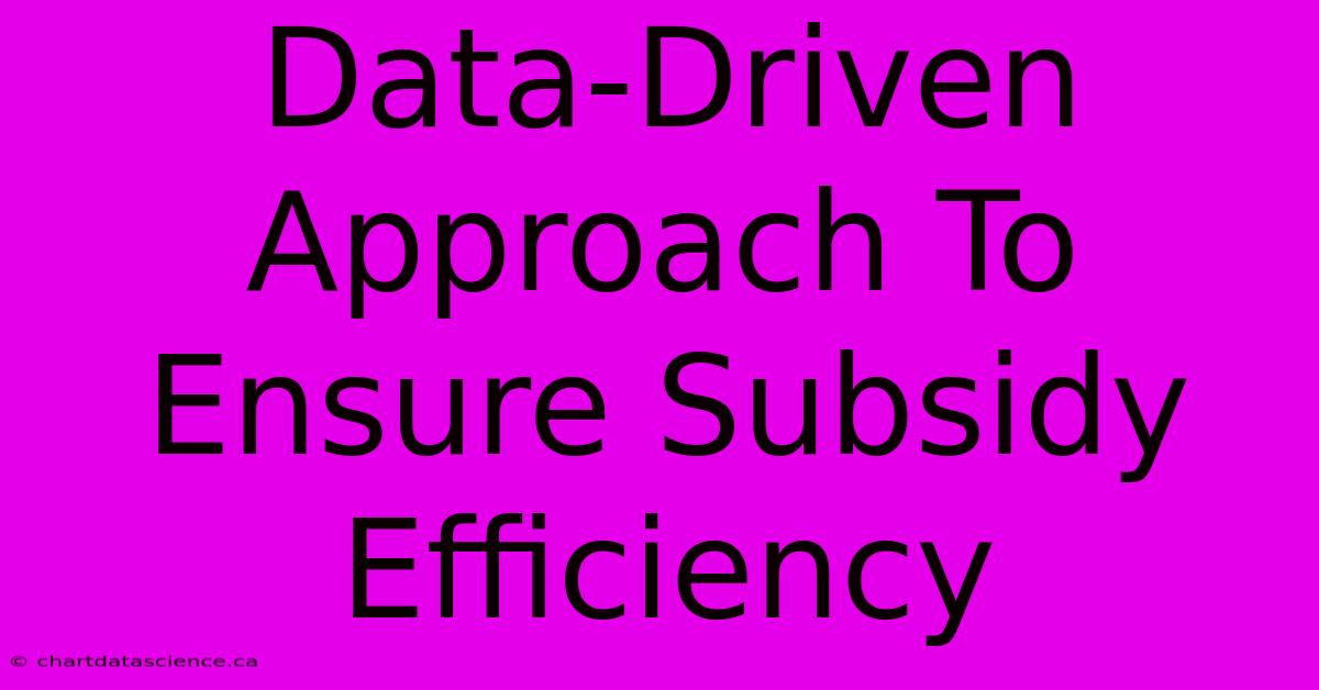 Data-Driven Approach To Ensure Subsidy Efficiency 