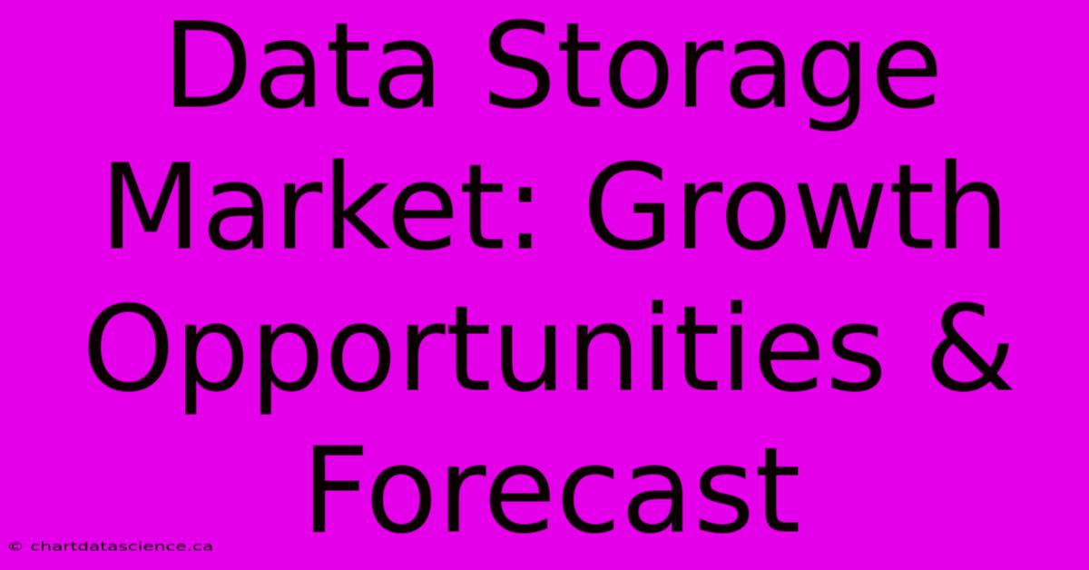 Data Storage Market: Growth Opportunities & Forecast 