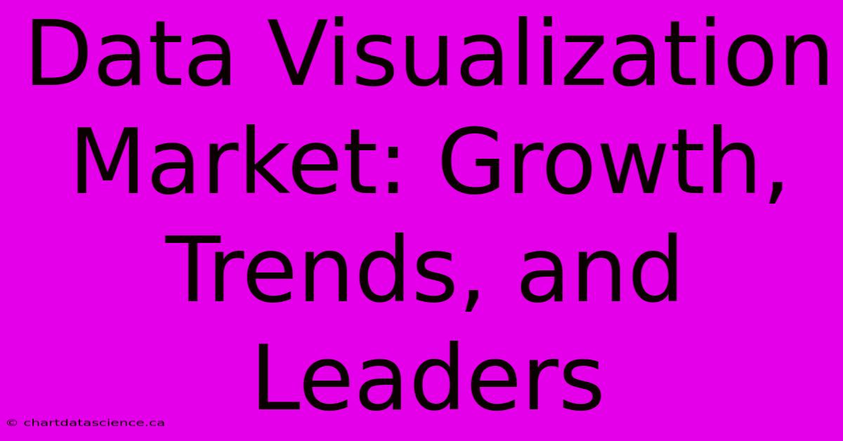 Data Visualization Market: Growth, Trends, And Leaders