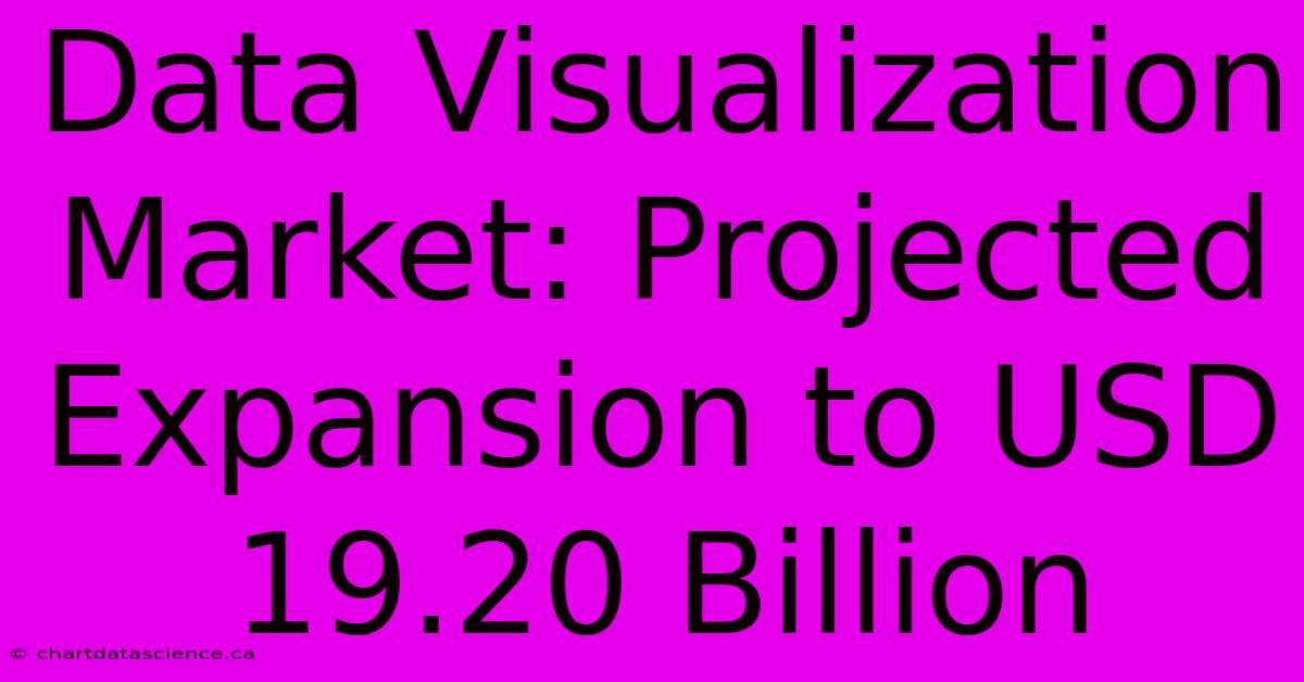 Data Visualization Market: Projected Expansion To USD 19.20 Billion