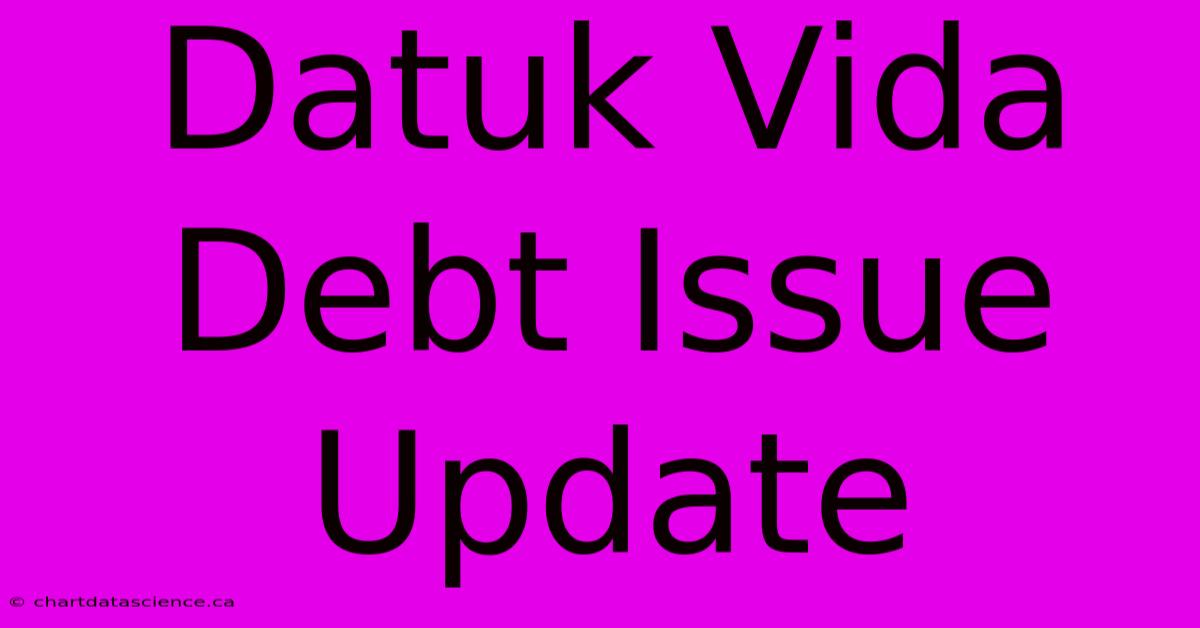 Datuk Vida Debt Issue Update