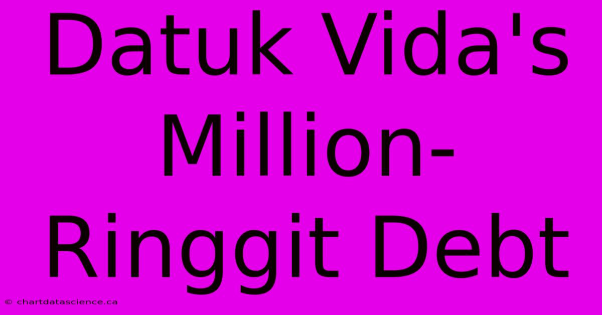 Datuk Vida's Million-Ringgit Debt