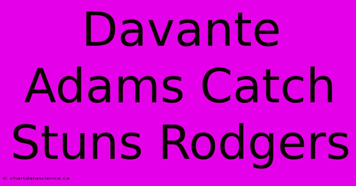 Davante Adams Catch Stuns Rodgers