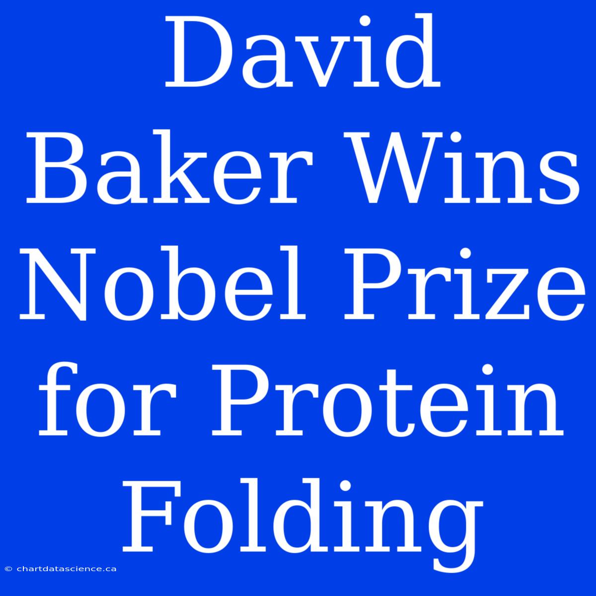 David Baker Wins Nobel Prize For Protein Folding