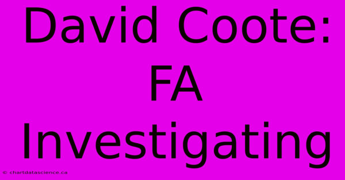 David Coote: FA Investigating