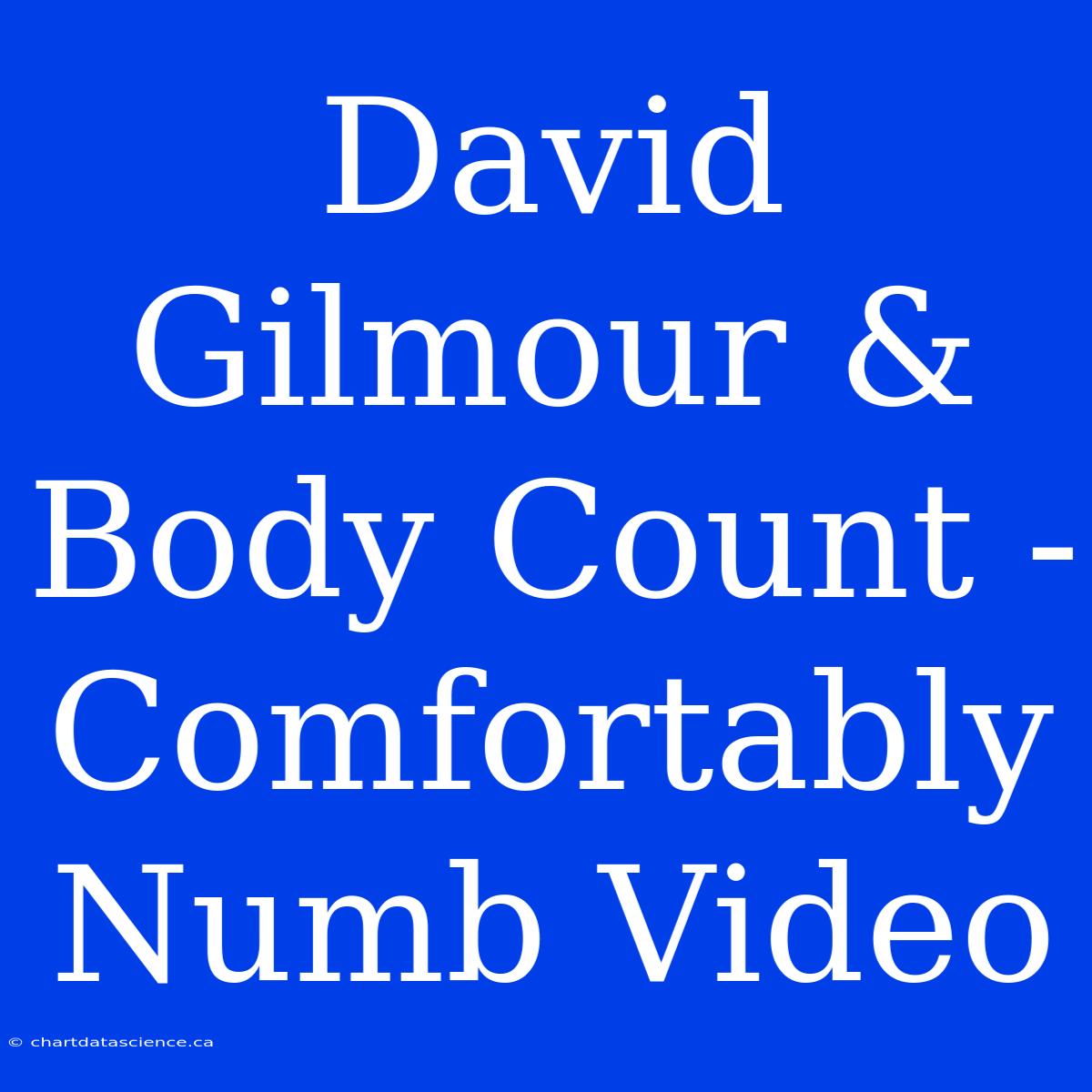 David Gilmour & Body Count - Comfortably Numb Video