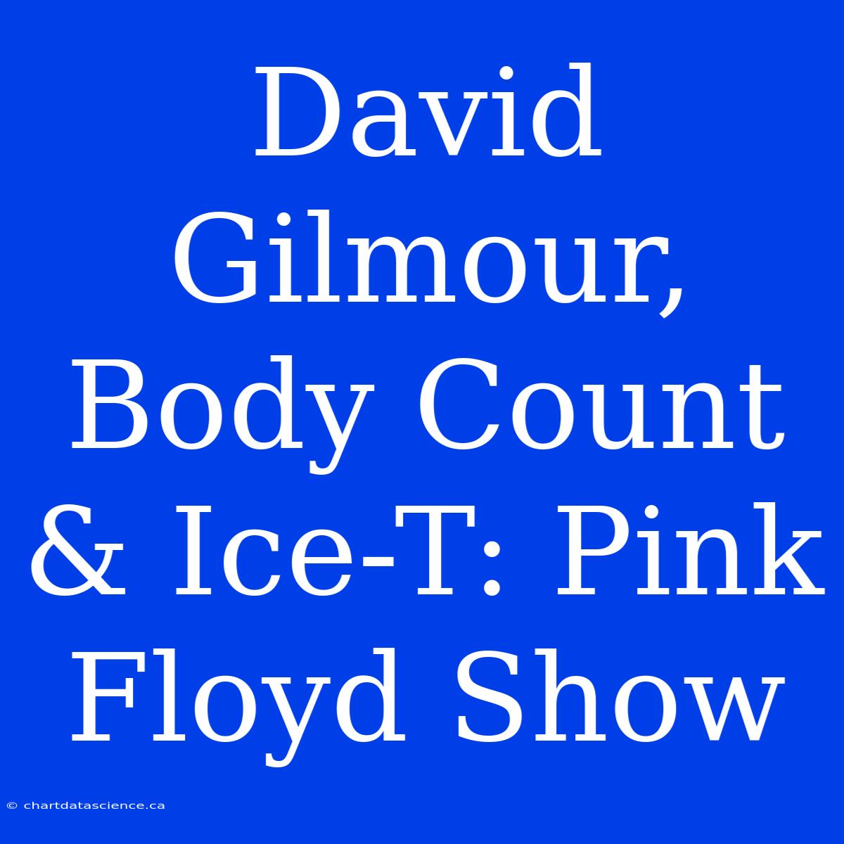 David Gilmour, Body Count & Ice-T: Pink Floyd Show