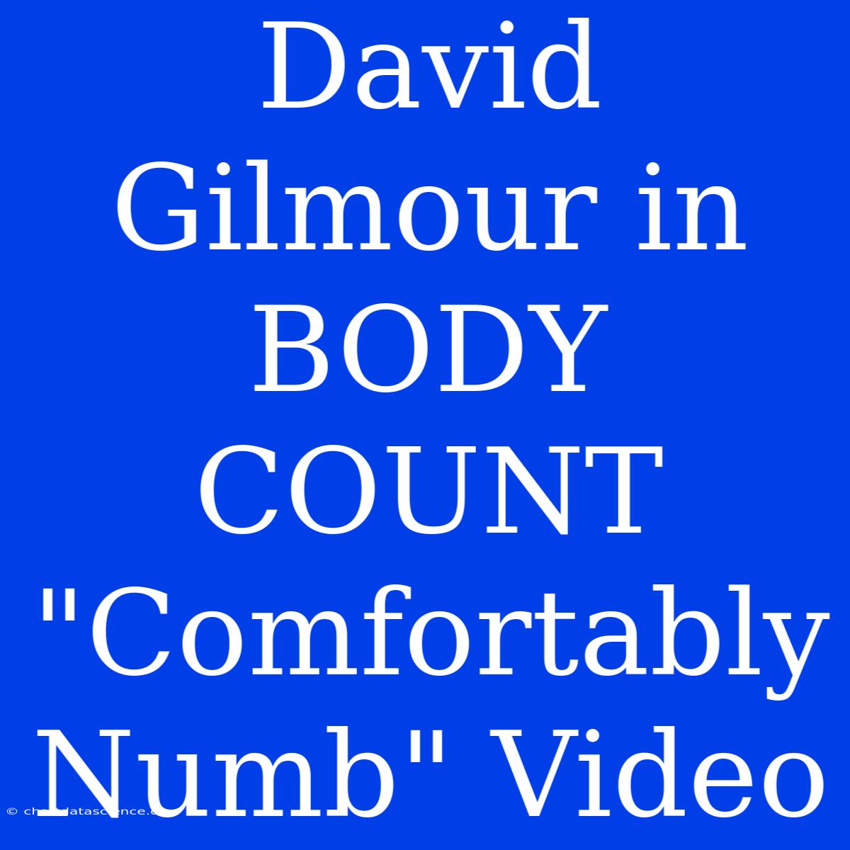 David Gilmour In BODY COUNT 