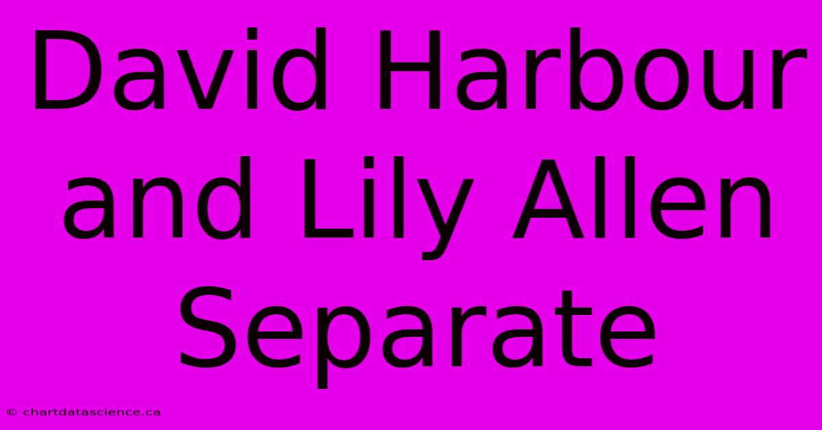 David Harbour And Lily Allen Separate