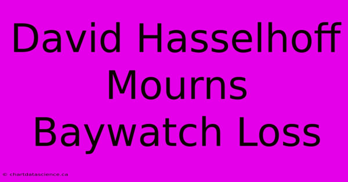 David Hasselhoff Mourns Baywatch Loss 