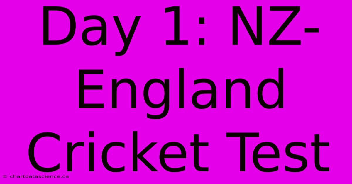 Day 1: NZ-England Cricket Test