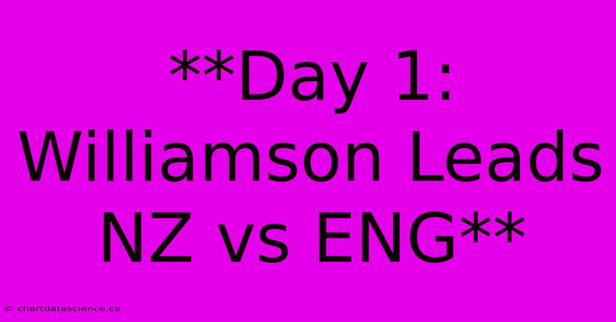 **Day 1: Williamson Leads NZ Vs ENG**