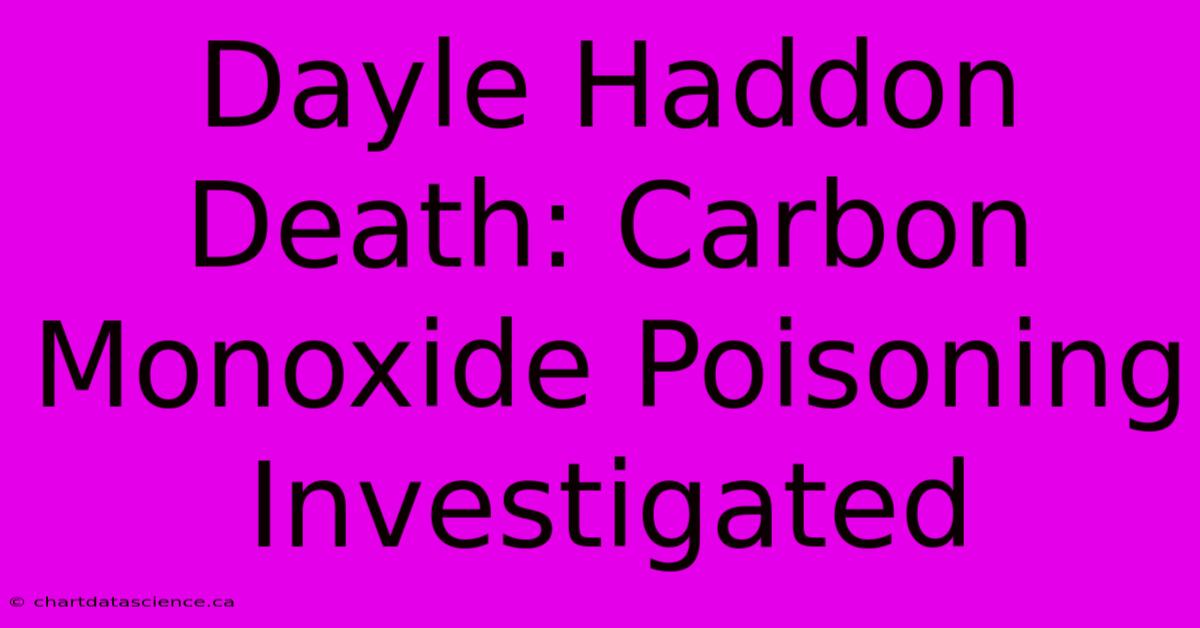 Dayle Haddon Death: Carbon Monoxide Poisoning Investigated