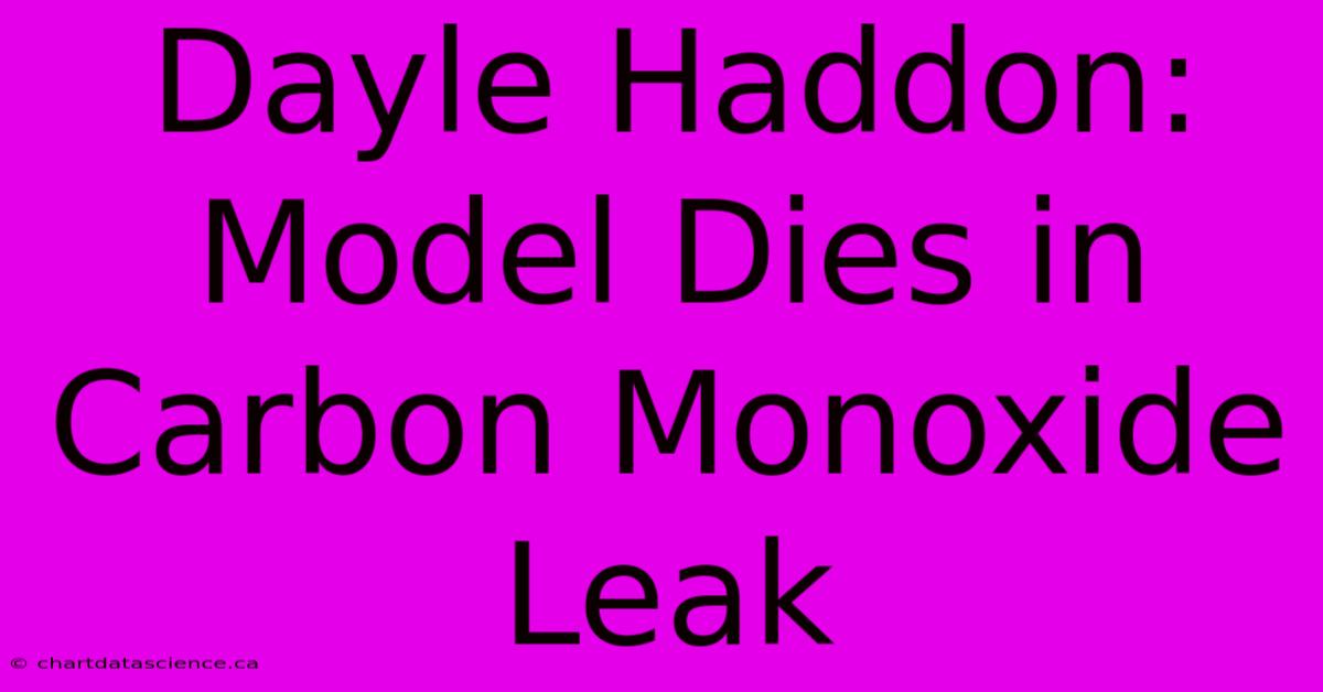 Dayle Haddon: Model Dies In Carbon Monoxide Leak