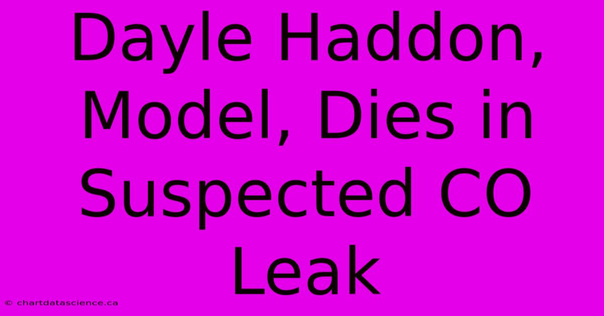 Dayle Haddon, Model, Dies In Suspected CO Leak