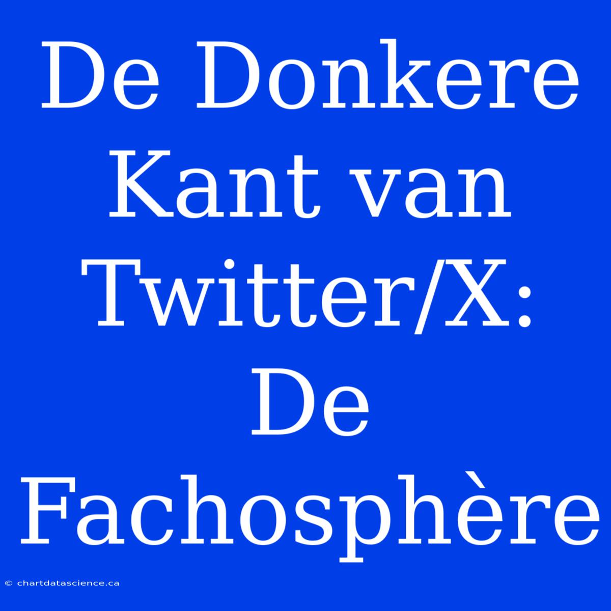 De Donkere Kant Van Twitter/X: De Fachosphère