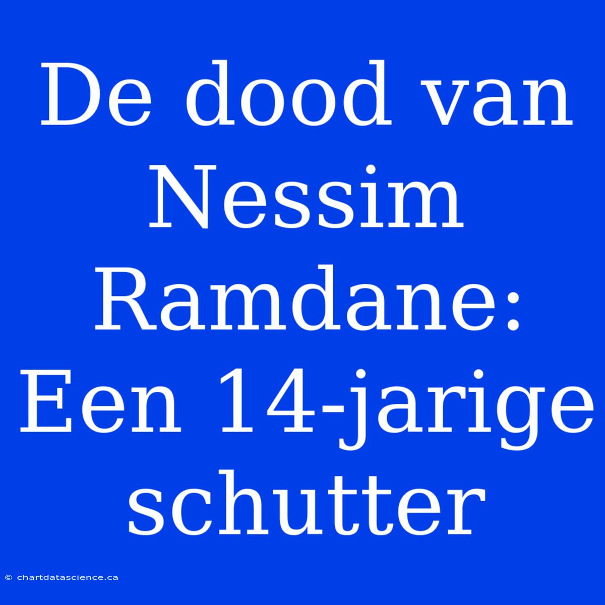 De Dood Van Nessim Ramdane: Een 14-jarige Schutter