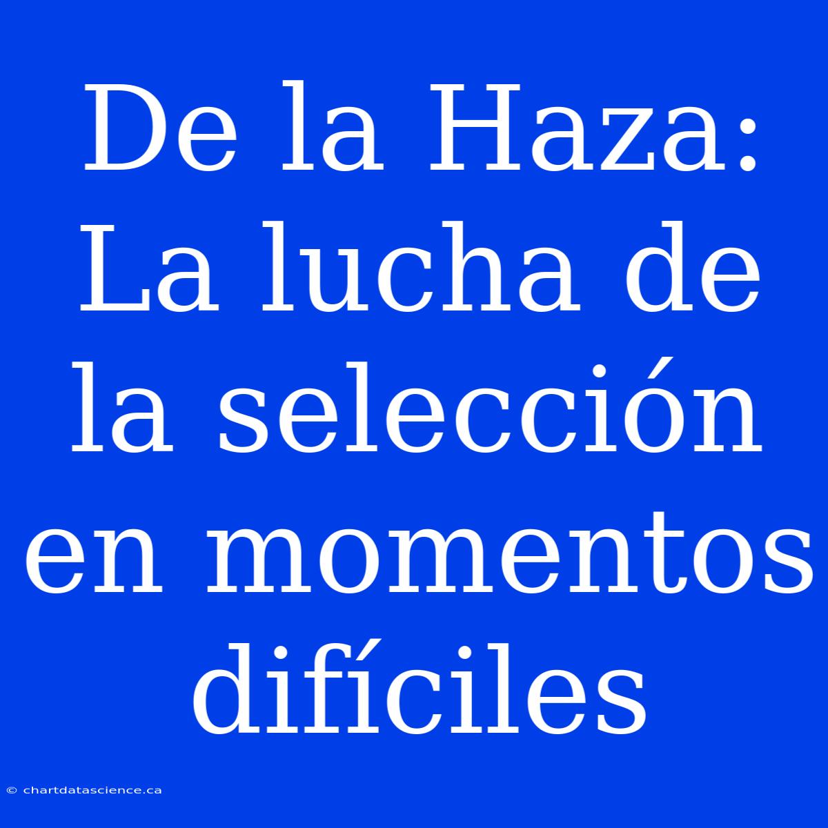 De La Haza: La Lucha De La Selección En Momentos Difíciles