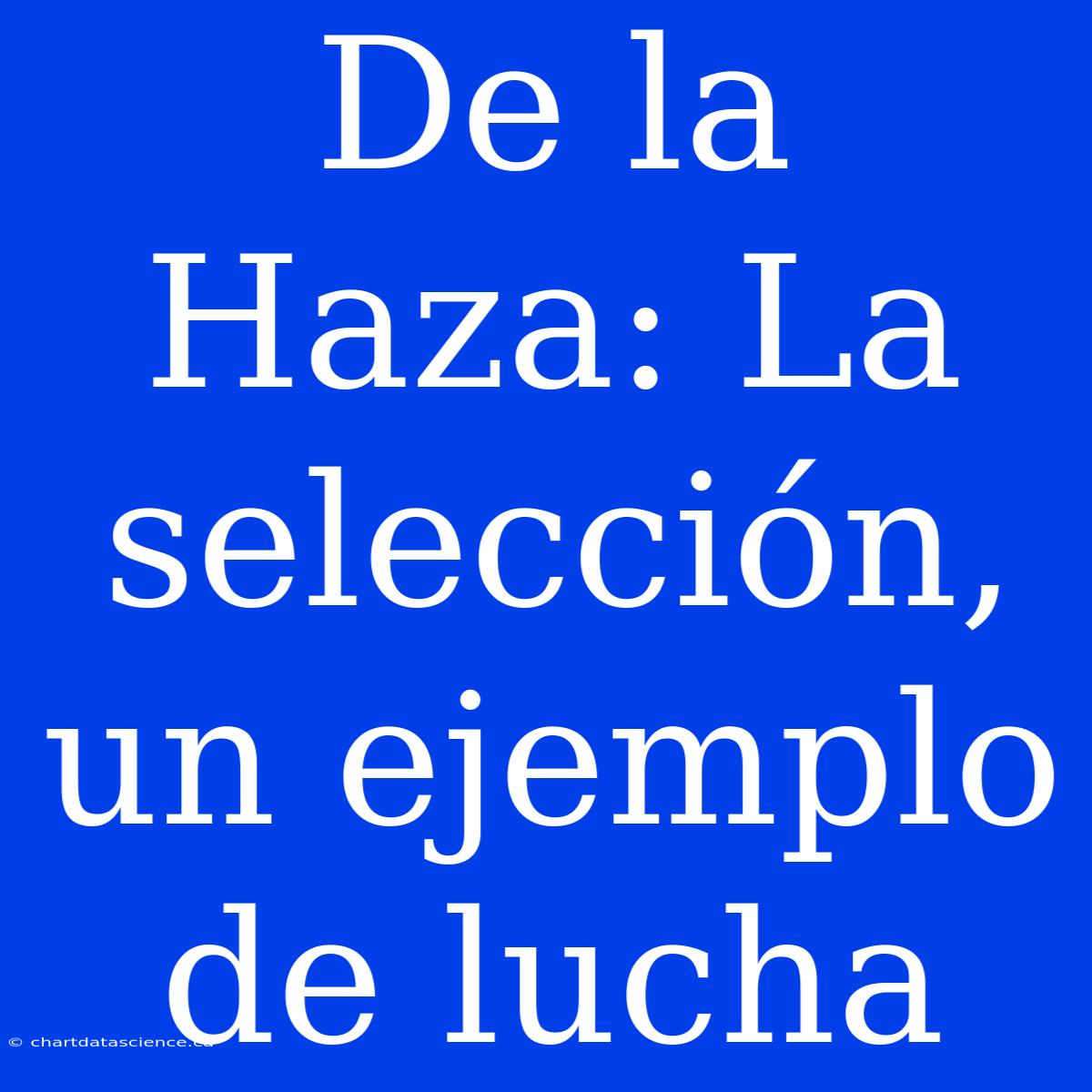 De La Haza: La Selección, Un Ejemplo De Lucha