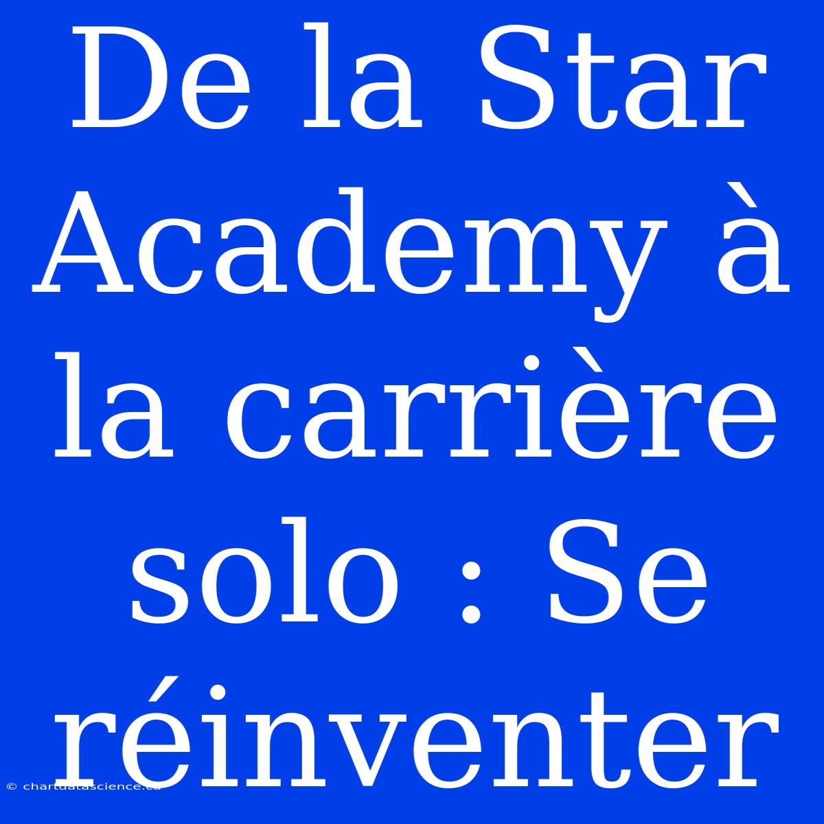 De La Star Academy À La Carrière Solo : Se Réinventer