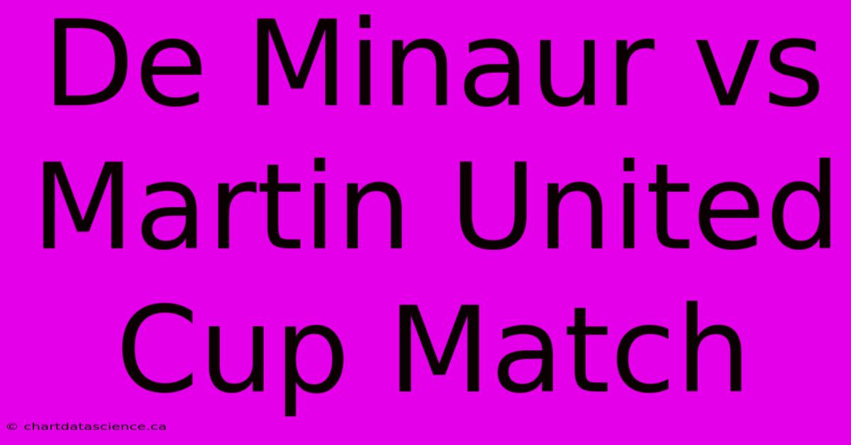 De Minaur Vs Martin United Cup Match