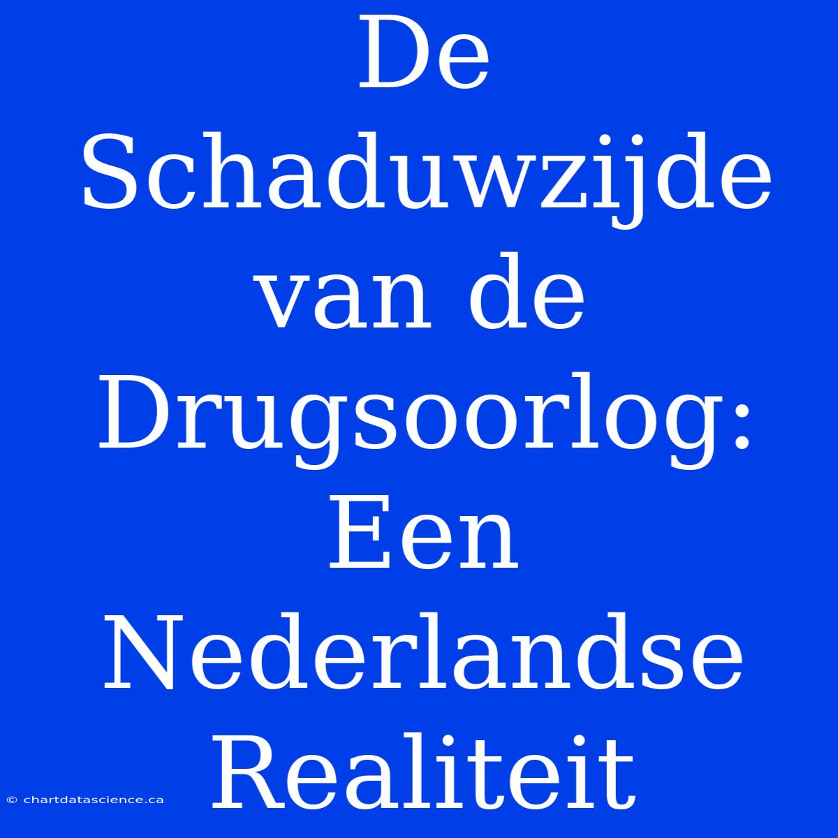 De Schaduwzijde Van De Drugsoorlog: Een Nederlandse Realiteit