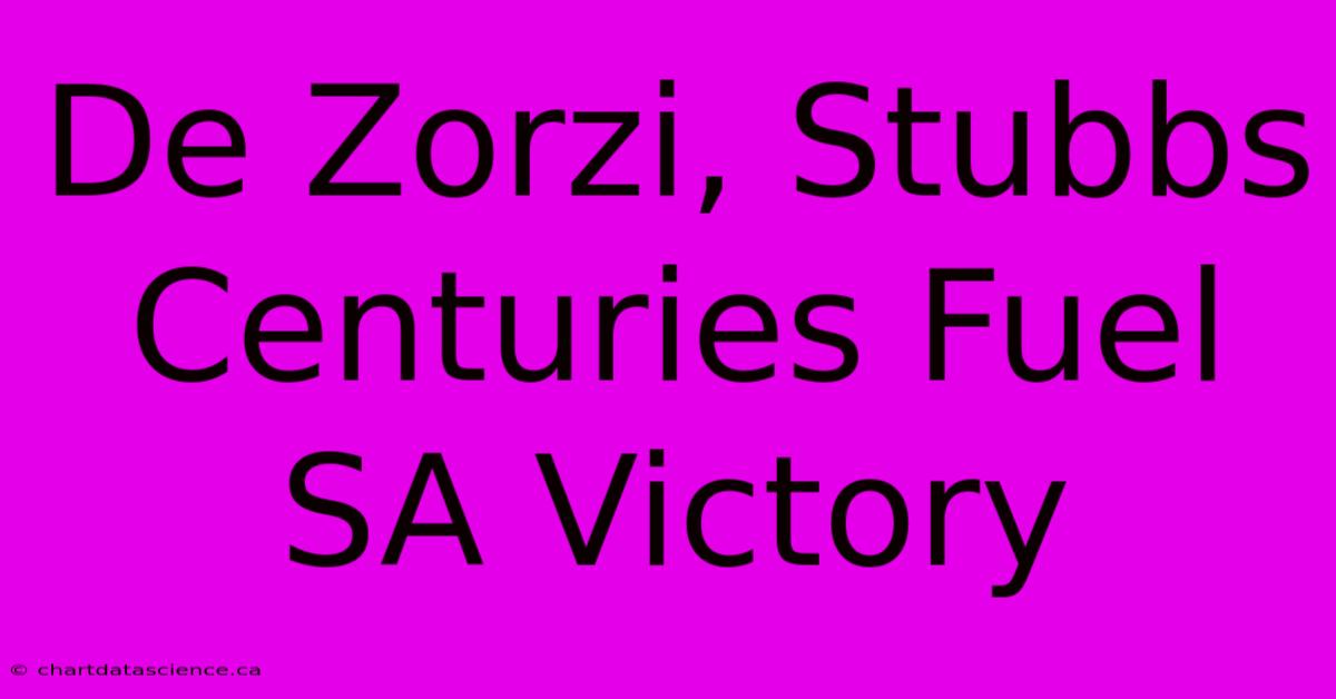 De Zorzi, Stubbs Centuries Fuel SA Victory