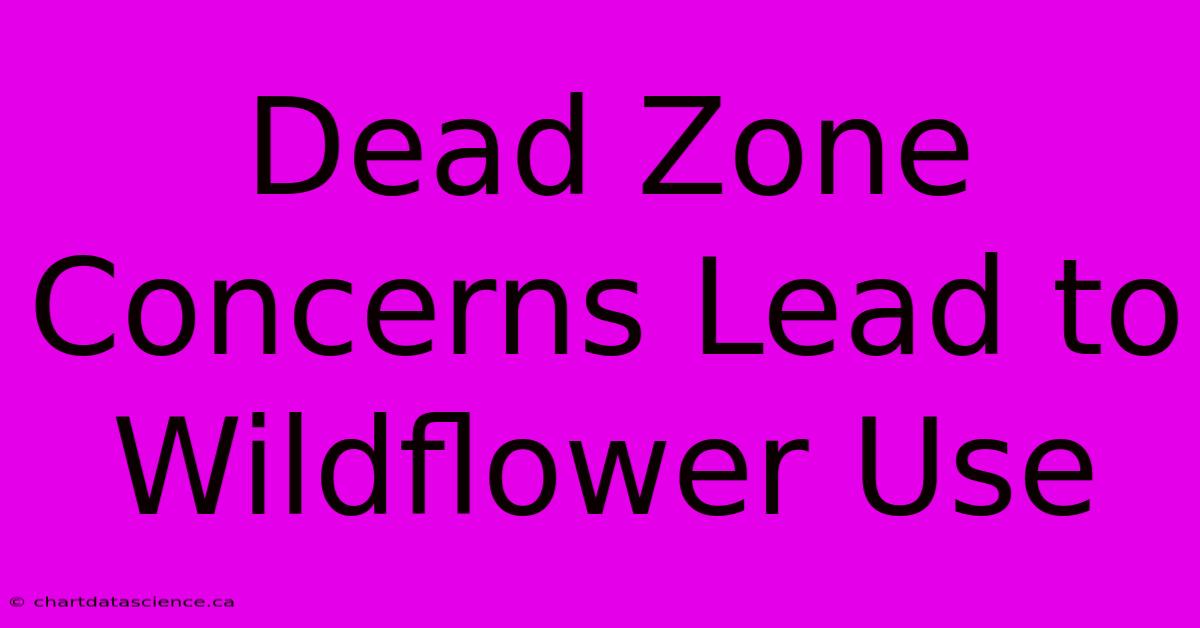 Dead Zone Concerns Lead To Wildflower Use