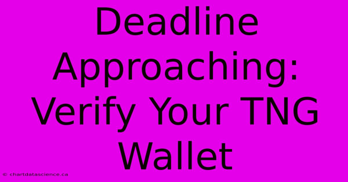 Deadline Approaching: Verify Your TNG Wallet