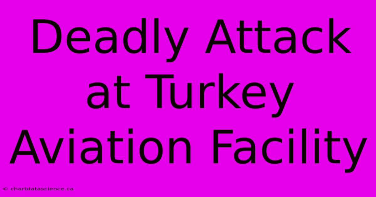 Deadly Attack At Turkey Aviation Facility