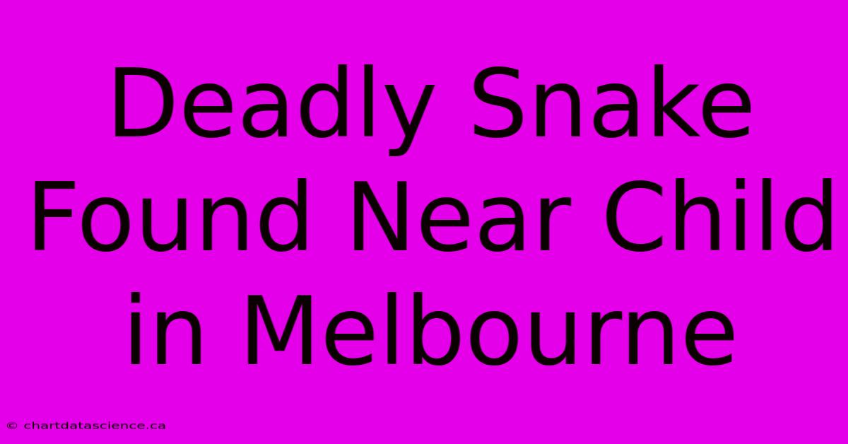 Deadly Snake Found Near Child In Melbourne